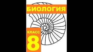 § 35  Кожа: строение и функции
