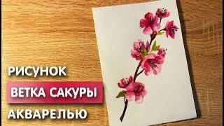 Как нарисовать ветку сакуры карандашом и акварелью начинающим | Рисунок для детей