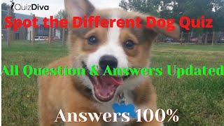 Spot The Different Dog Quiz answers 100% | Quiz Diva | QuizHelping