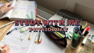 Study with me - get motivated!