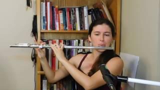 Flute and Electronics Demo