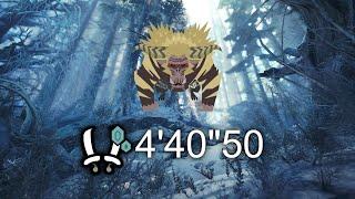 Monster Hunter World Iceborne: Furious Rajang Dual Blades Speedrun (4'40"50) - Freestyle Wiki Rules