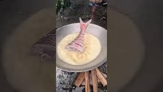 #fish #cooking #fishcutting #fishing #food #cookingadventure #fishtail #giantfish #outdoorcooking