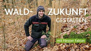 Den Wald der Zukunft gestalten mit Förster Fabian