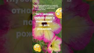 Чего человек глубоко ищет в отношениях по дате рождения Эзотерика Гороскоп Астрология Знаки Зодиака