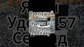 Послушай Ясин Удели 57Секунд Аллаху #Ислам #сура #ясин