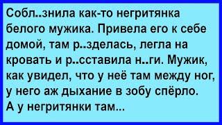 Что такого было у негритянки? Сборник! Юмор! Позитив!