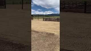 Secondary arena for ground work and round pen finished! #ranch #colorado #ranchlife #arena #horse