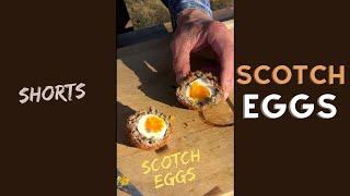 Easy Scotch Eggs #shorts