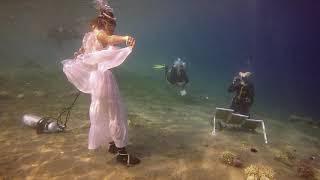 Dahab Olga Belka Underwater painter #dahab