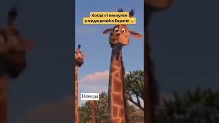 Поймут не все  но это из актуальных тем  #медецинавевропе #шиза #смешноажгрустно #изжизни #юмор