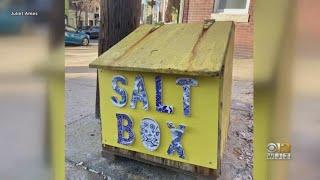 American Visionary Art Museum puts a spotlight on Baltimore s saltbox revival