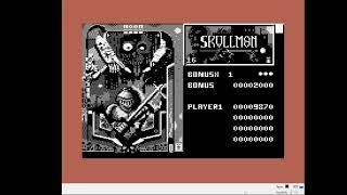 Commodore 64, Emulated, Petaco'5, Skullm8n, 30090 points