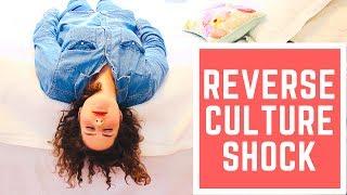 Back To America From China | CULTURE SHOCK IN REVERSE | Lauren Garrett