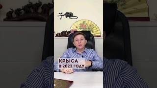 Прогноз для Крысы на 2023 год #годкролика2023 #прогноз2023 #бацзы