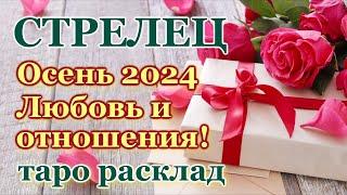 СТРЕЛЕЦ ️ЛЮБОВЬ ️ОСЕНЬ 2024- ОТНОШЕНИЯ /ЛЮБОВНЫЙ ТАРО ПРОГНОЗ РАСКЛАД, ГОРОСКОП, ГАДАНИЕ ОНЛАЙН️