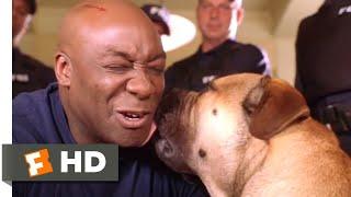 See Spot Run (2001) - He Needs a Family Scene (8/8) | Movieclips