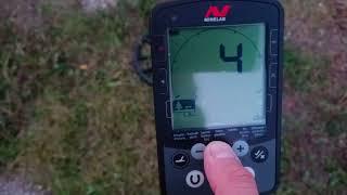 Minelab EQUINOX 800 vs xp deus 2 ТЕСТ НА РАЗДЕЛЕНИЯ. И БЛОГЕРЫ.