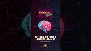 Science Magazine For School Kids: The Qurious Atom November 2024 Issue