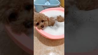Nothing beats a warm bubble bath 
