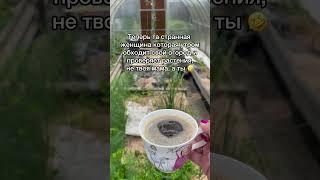 Всем привет, на связи 1987 год  А ты какого года? У вас есть дача? #Дача #юмордача #садиогород
