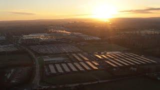 Celebrating World Wood Day at Bentley