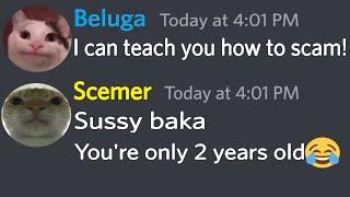 When Beluga becomes a Scammer  (4k)