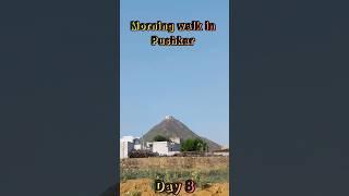 Morning walk in Pushkar day 6 #pushkar #pushkarcamelfair  #pushkarmarket #pushkarrajasthan