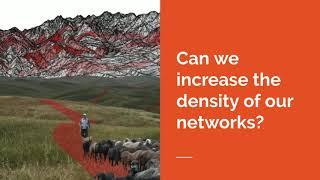 Participatory art event tools, co-creation and silk road networks