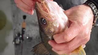 Midwest Outdoors TV Show #1658 - Walleye and History fom Arnesens Rocky Point on Lake of the Woods