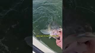 THATS A BIG FISH #fish #fishing #stripedbass