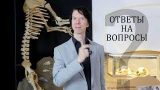 Всё, что вы хотели знать о древних животных. Ярослав Попов