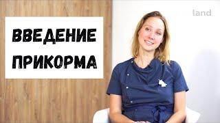 ПРАВИЛА ВВЕДЕНИЯ ПРИКОРМА. О ПРИКОРМЕ ПРОСТЫМИ СЛОВАМИ - МНЕНИЕ ПЕДИАТРА - MAMA LAND