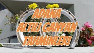 8 Mart 2025 Cumartesi Adana at yarışı tahminleri , Horse Turk altılı ganyan