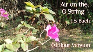 Air on the G String | J. S. Bach | 01 Hour Version | Calm Classical Piano