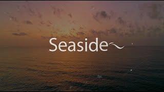 Seaside feat Kianna - Giulio Cercato //Lyrics//