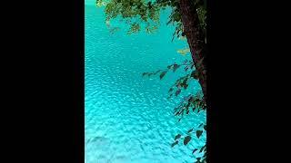 #nature  #beautiful #short Majestic nature 04356