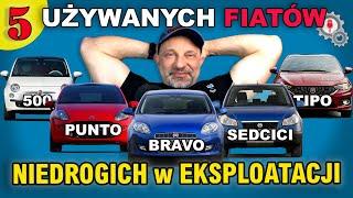 Najlepsze używane Fiaty niedrogie w eksploatacji. 500, Punto, Bravo, Sedici i Tipo.