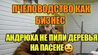 ПЧЕЛОВОДСТВО КАК БИЗНЕС.  "СКОЛЬКО Я ЗАРАБОТАЛ НА ПЧЕЛАХ ЗА СЕЗОН?"