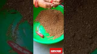 minivlogs day 4  how to make red chilly pickle in home # #tranding #viral #vlog