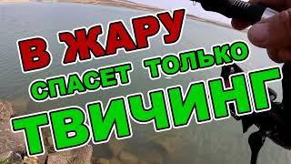 В ЖАРУ ТОЛЬКО ТВИЧИНГ!