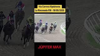 JÚPITER MAX - 4ta Carrera Hipódromo La Rinconada R18 #inh #foryou #hipismo #caballos #parati #race
