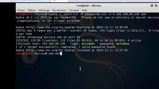 Attaquer un serveur en Bruteforce avec Hydra