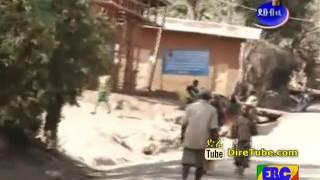 Debub Police Program - Woman Killed 8 year old girl in Segen, Ethiopia