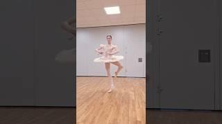 pirouette  @lgballet_laura_gregory #ballet