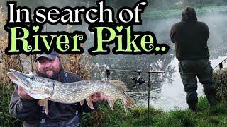 WHERE THE "MONSTER" PIKE LIVE?? -  Danny's Angling Blog