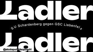 Stocksport Ladler Cup 2024 Waldkirchen SU Schardenberg gegen GSC Liebenfels