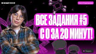 Все задания №5 ЕГЭ по химии 2024 с 0 за 20 минут | Екатерина Строганова