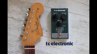 TC Electronic - GAUSS Tape Echo