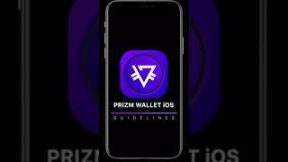 Prizm Wallet iOS - New Website guidelines overview 2020 RU